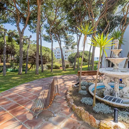 Cubo's Algaida Calahonda